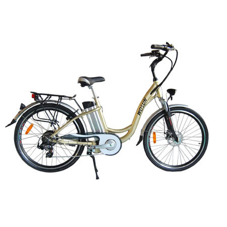 Electric BicycleHS-EBA103