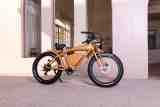 48v 500w 750w  bafang super power adult beach cruiser fat tire electric quad e bike