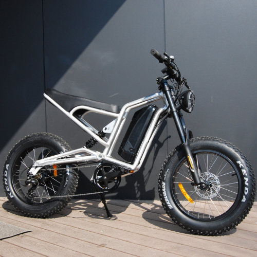 Electric Dirt Bike X500