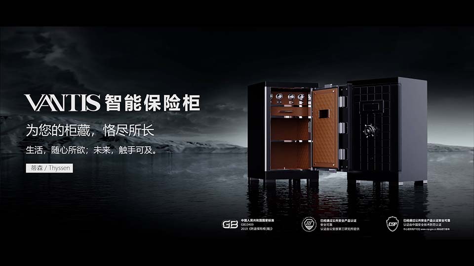 Vantis Safes