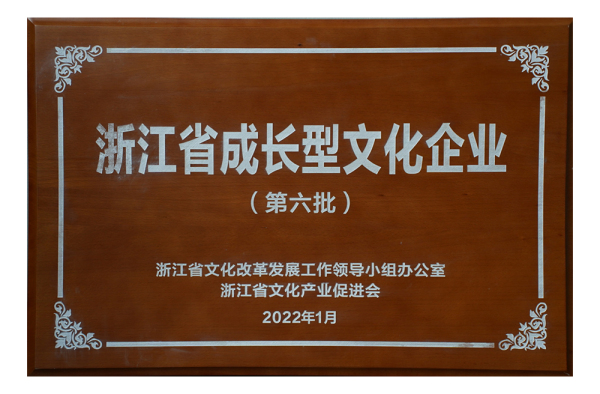 实力类-浙江省成长型文化企业（第六批）