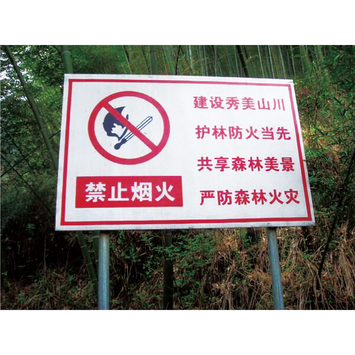 林业系列