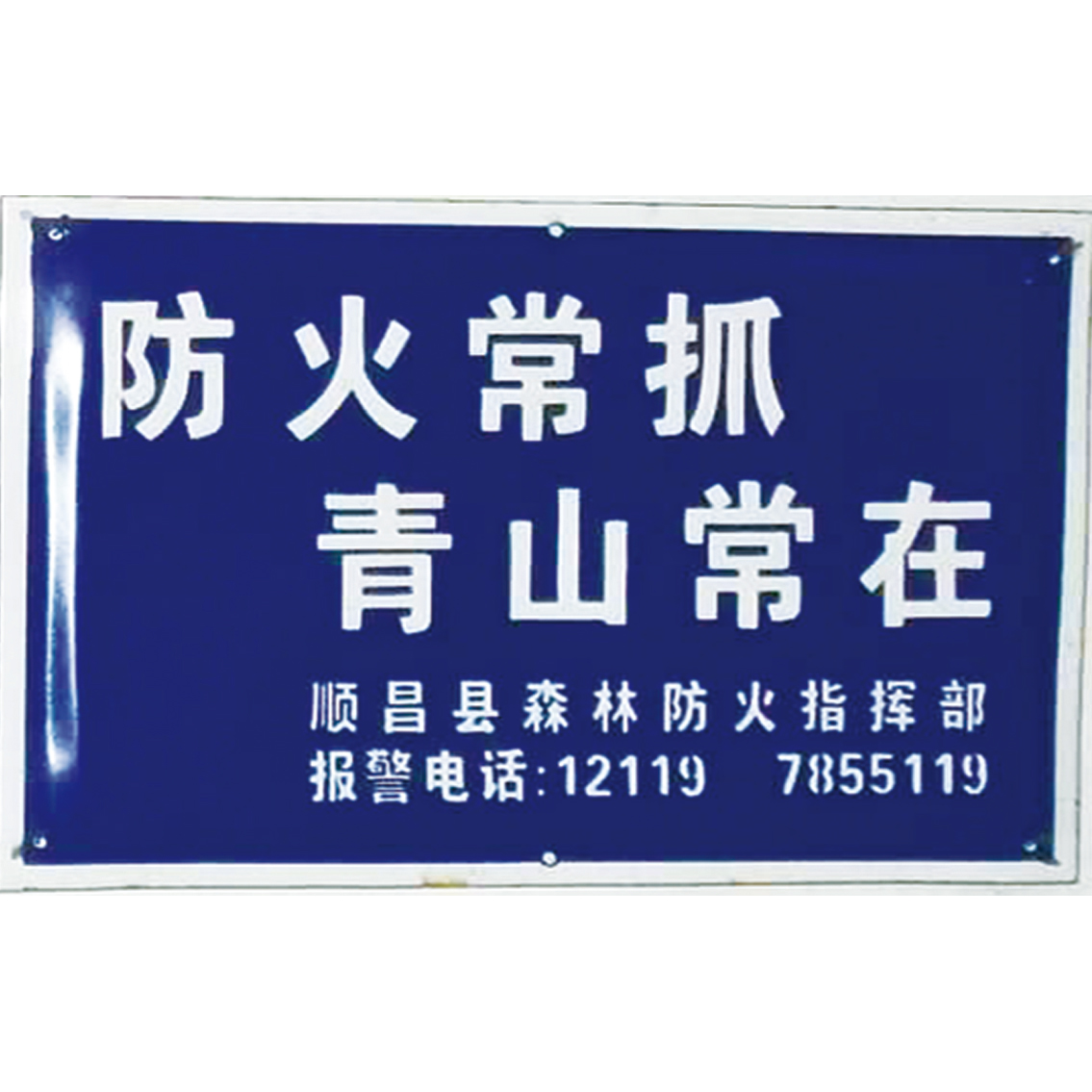 林业系列