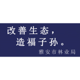 林业系列