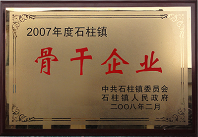2007年度石柱镇骨干企业
