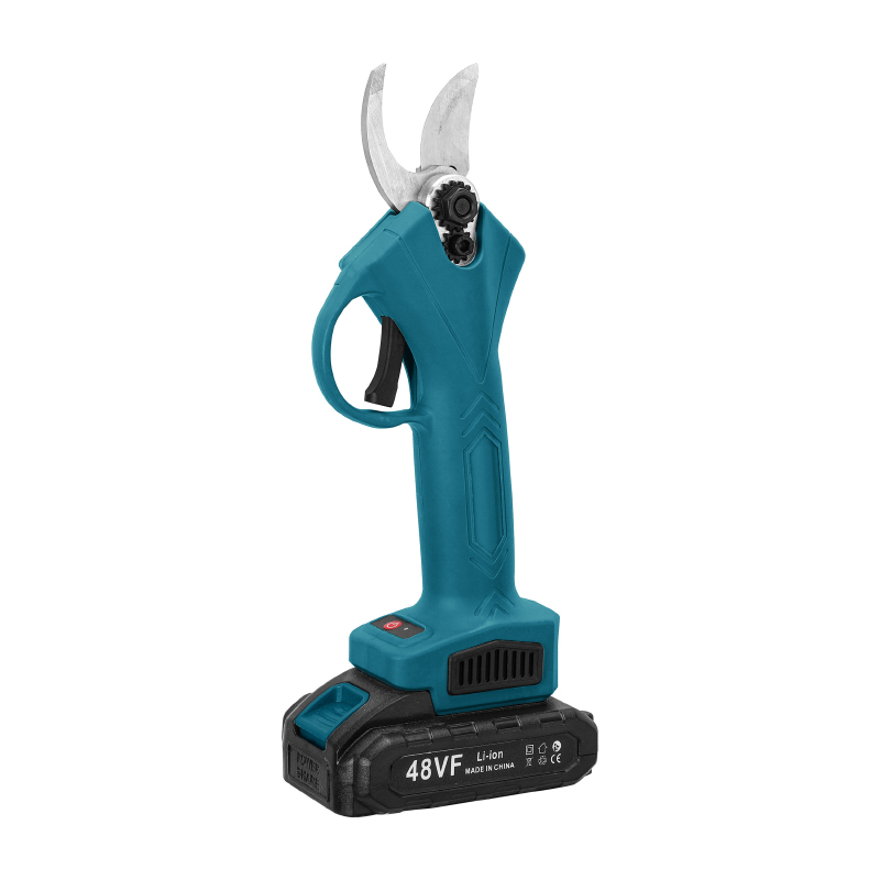 Electric Display 10 inch