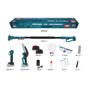 Electric Display 10 inch