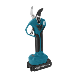 Electric Display 10 inch