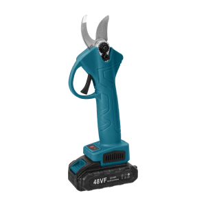 Electric Display 10 inch