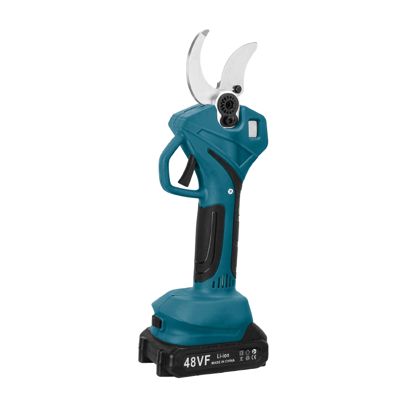 Electric Display 10 inch