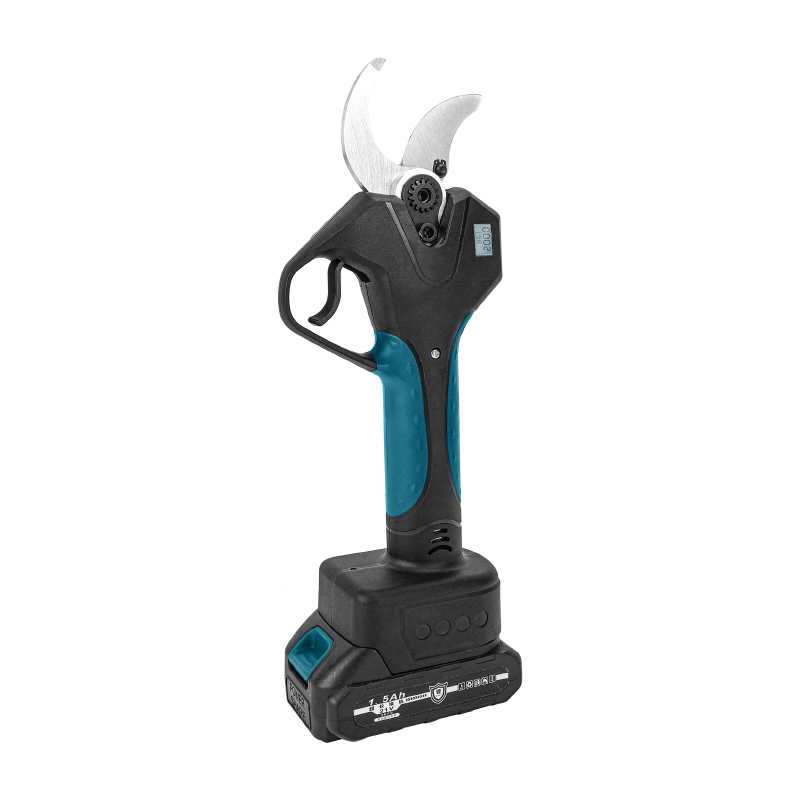 Electric Display 10 inch
