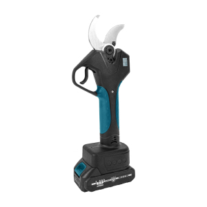 Electric Display 10 inch