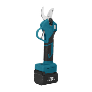 Electric Display 10 inch