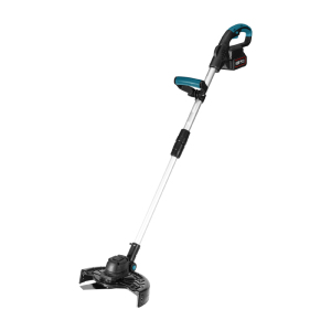 Electric Display 10 inch