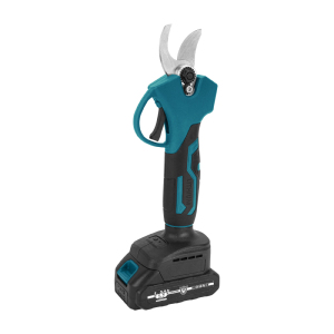 Electric Display 10 inch