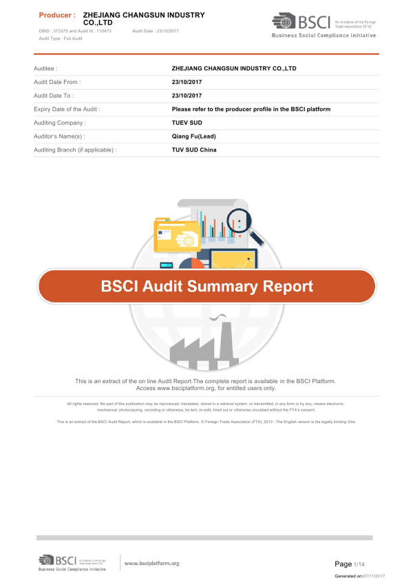BSCI审计摘要报告