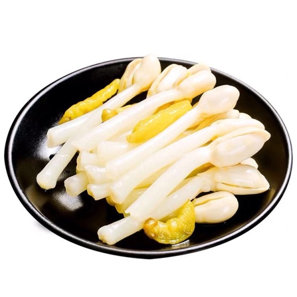 花生苗 