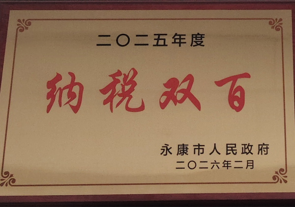 2023纳税百强