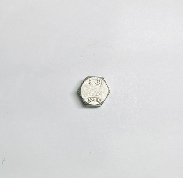 Stainless Steel Plug Casting SUS304