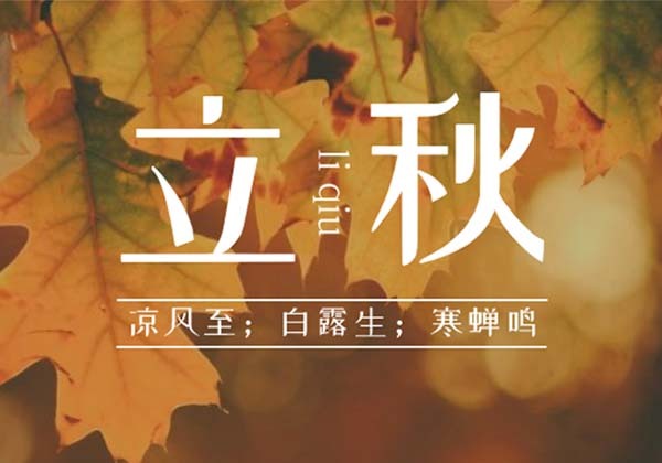 铭海环保 | 立秋：清风拂面来，一叶藏秋意！