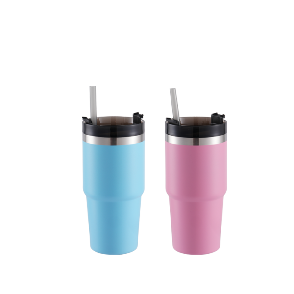 20oz Stainless Steel Travel Tumbler with Straw