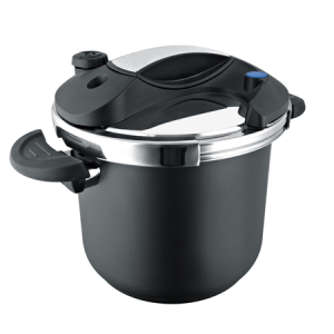 Stainlesss Steel Pressure cookerDS Stainless steel pressure cooker