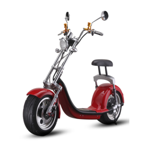 1500w Hot sale 18Inch  Adult  Rubber Tubeless Tire City Coco Electric ScooterGZY-06(X9)