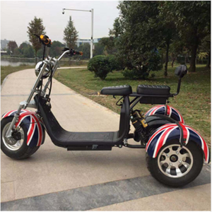 Hot sale 18Inch  Adult Big Wheels 1500W City Coco Electric ScooterGZY-08