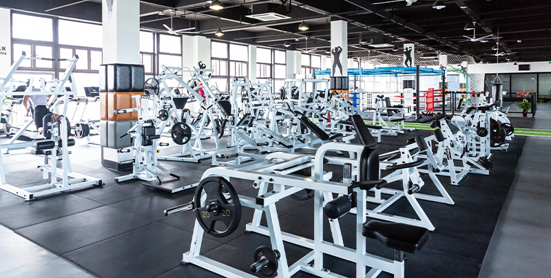 Dumbbells should if workout