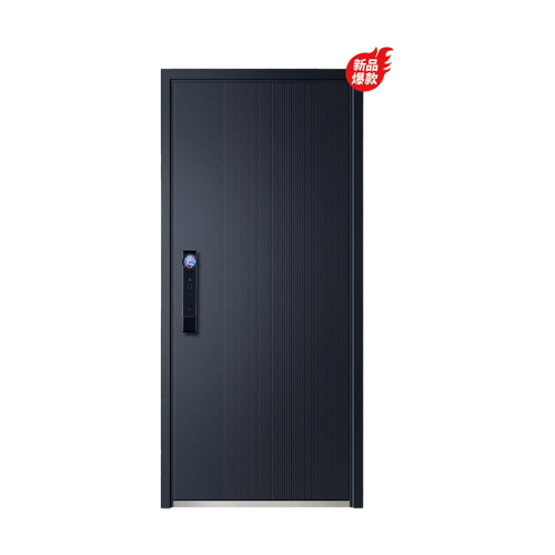 富新防盗安全门M5