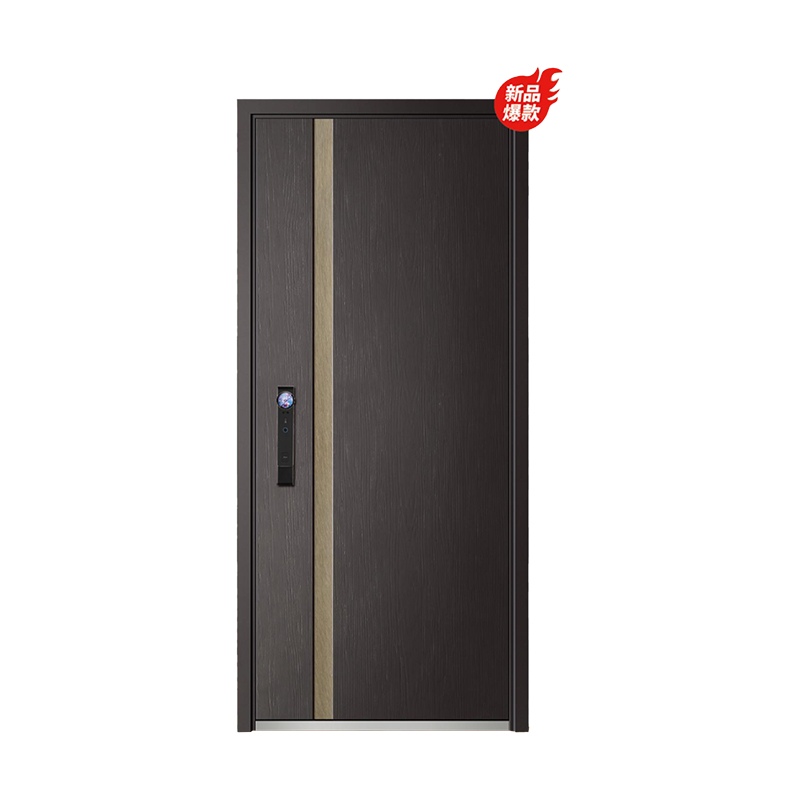 富新防盗安全门