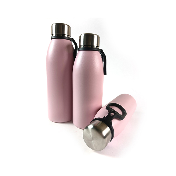 Stainless Steel Water Bottle NT001-25