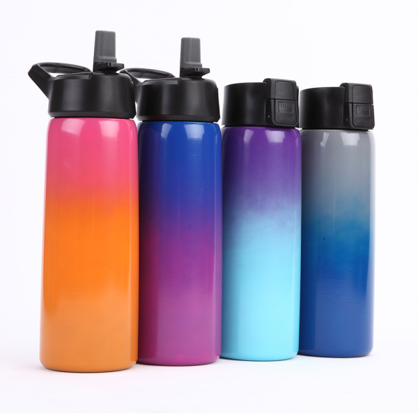 Stainless Steel Water Bottle SDO-BG75