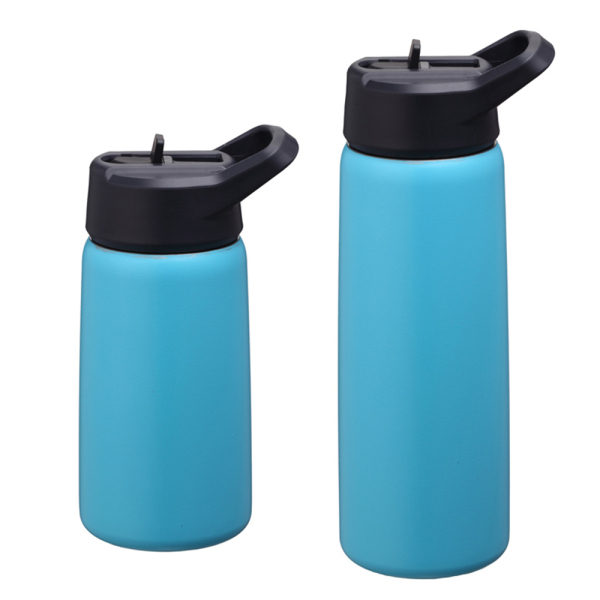 Stainless Steel Water Bottle SDO-BE50