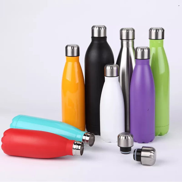 Stainless Steel Water Bottle SDO-BD75