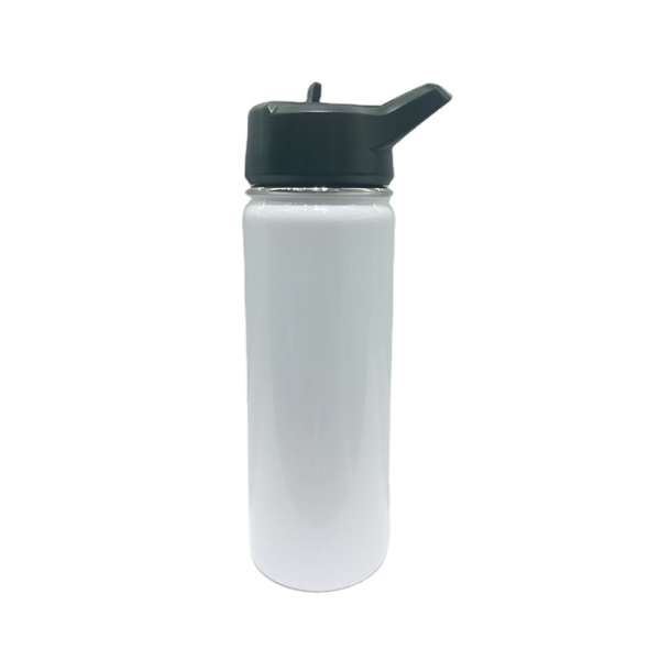 Stainless Steel Water Bottle SDO-BH40