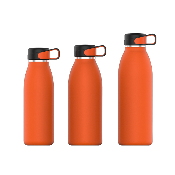 Stainless Steel Water Bottle NT002-32