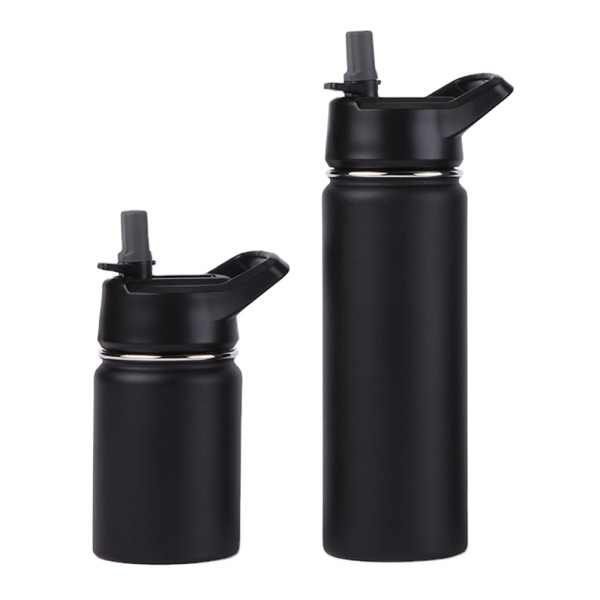 Stainless Steel Water Bottle SDO-BH35