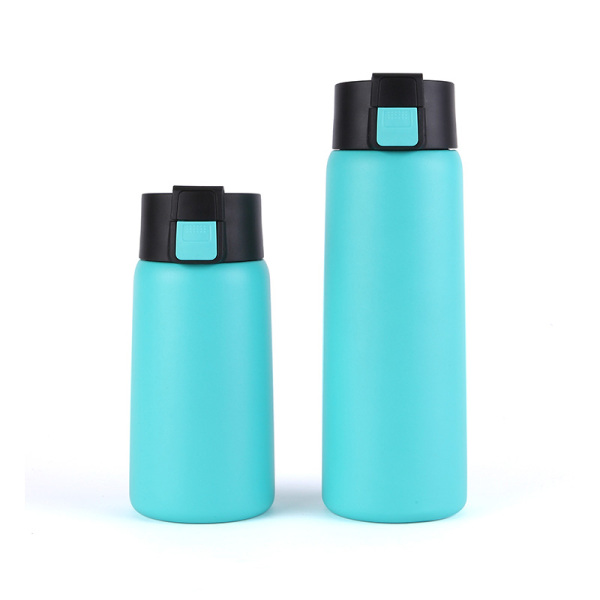 Stainless Steel Water Bottle SDO-BG75