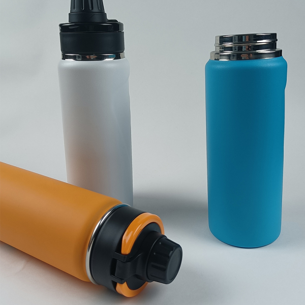 Stainless Steel Water Bottle SDO-BV60