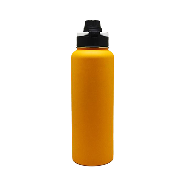 Stainless Steel Water Bottle SDO-BU110