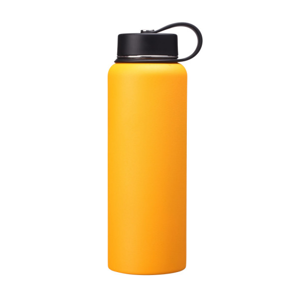 Stainless Steel Water Bottle SDO-BB70