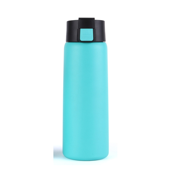 Stainless Steel Water Bottle SDO-BG75