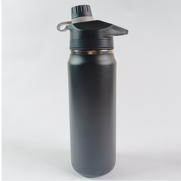 Stainless Steel Water Bottle SDO-NT004-25