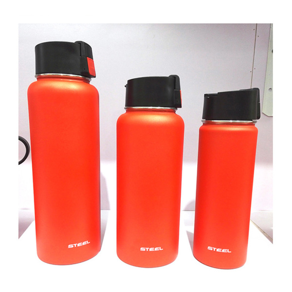 Stainless Steel Water Bottle SDO-BA48