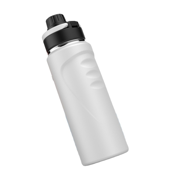 Stainless Steel Water Bottle SDO-BV110