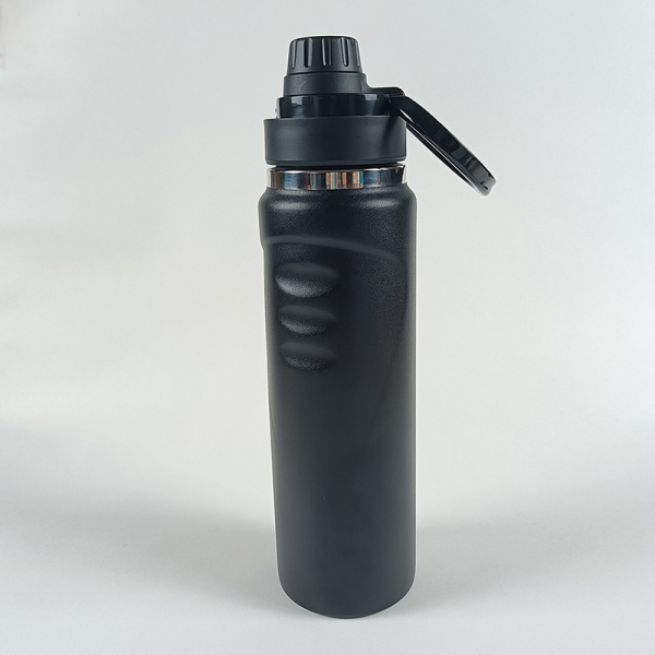 Stainless Steel Water Bottle SDO-BV75