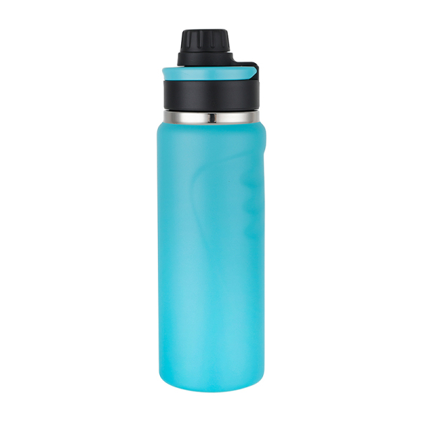 Stainless Steel Water Bottle SDO-BV60