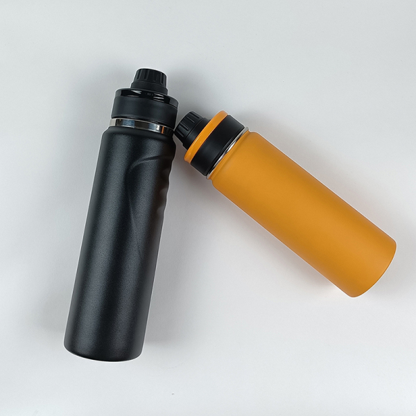 Stainless Steel Water Bottle SDO-BV75