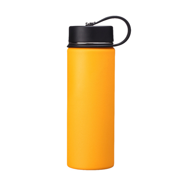 Stainless Steel Water Bottle SDO-BB60